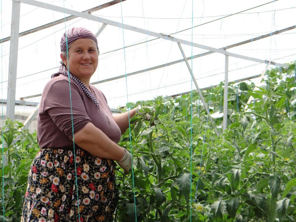 Aygun Pension Tekirova Ngoại thất bức ảnh